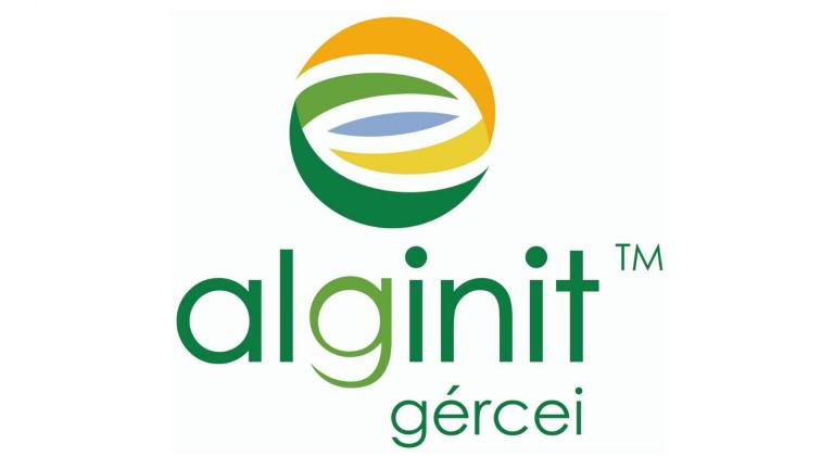 Alginit Kft.